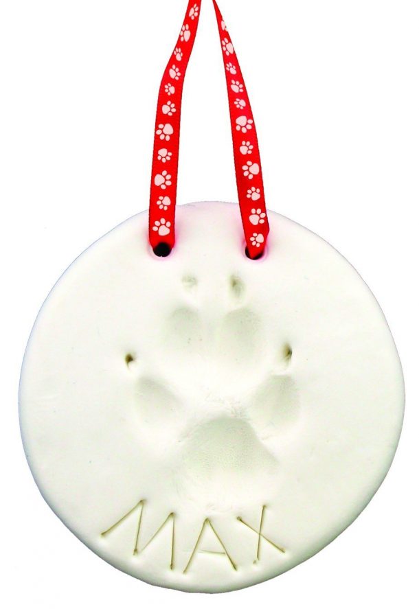 图片致谢:亚马逊