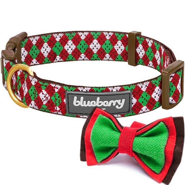 图片致谢:亚马逊