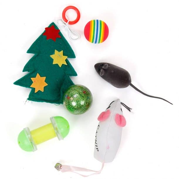 图片致谢:亚马逊