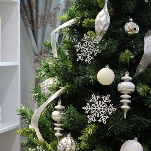 Image Credits: Amazon