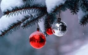 best-christmas-trees