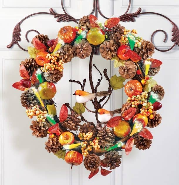 图片致谢:亚马逊