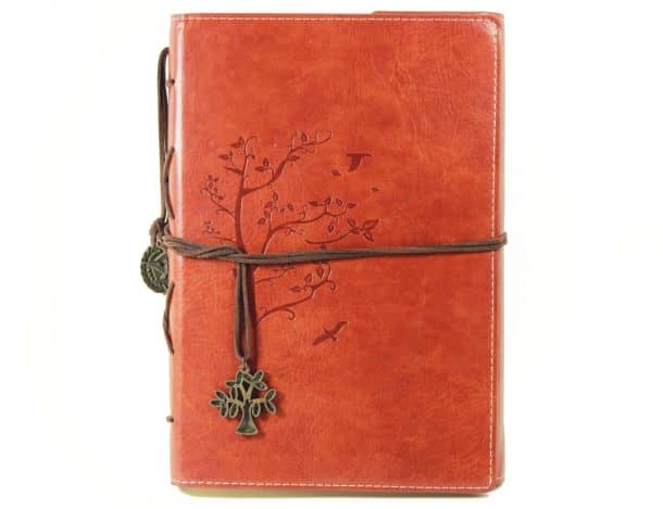 图片致谢:亚马逊