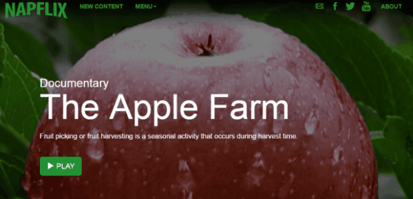 图片学分：NAPFLIX