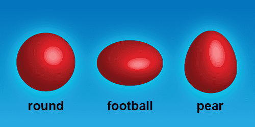 图片来源:Sciencealert