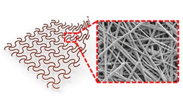 [图片由普渡大学提供/Min Ku Kim]