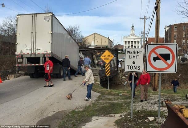 Pic Credits: dailymail