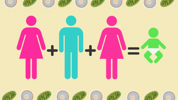 150224 - 3 -家长- bb - 610 - x343