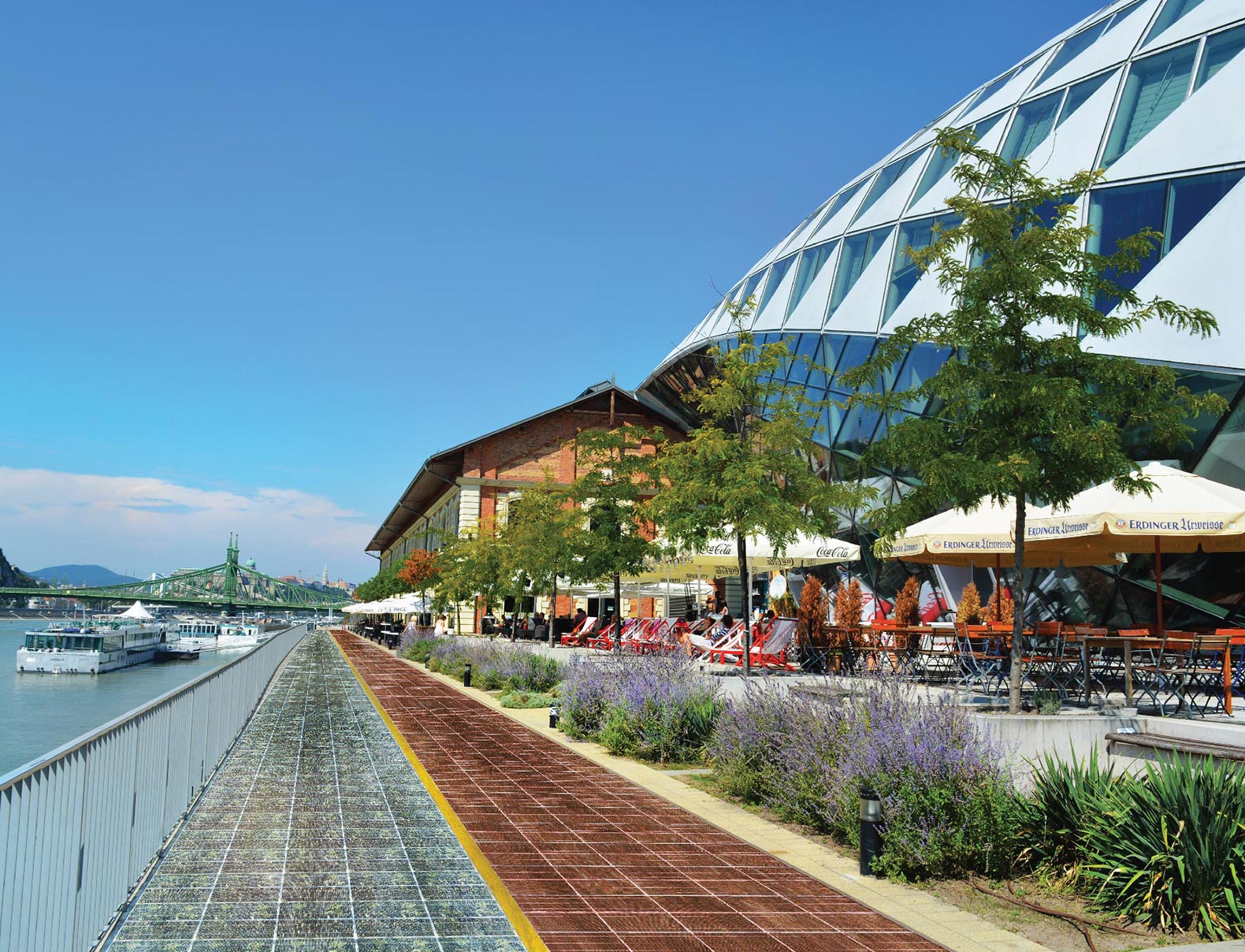 柏拉图产生的柏油菜