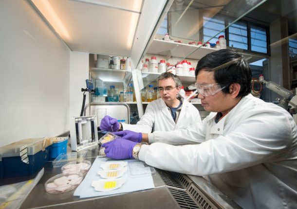 29112托比·詹金斯（Toby Jenkins）和感染绷带2016年11月11日。临床试验即将开始。在感染存在下，紫外线下的敷料在紫外线下荧光。客户：克里斯·梅尔文（Chris Melvin）-Corp Comms