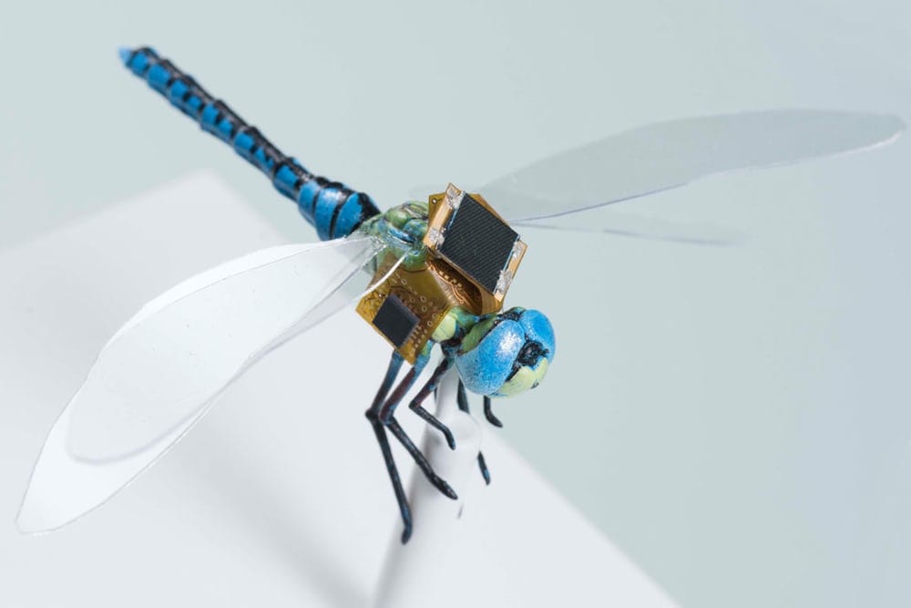 cyborg-dragonflies-1
