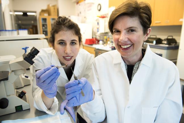 跳动心脏补丁（1）