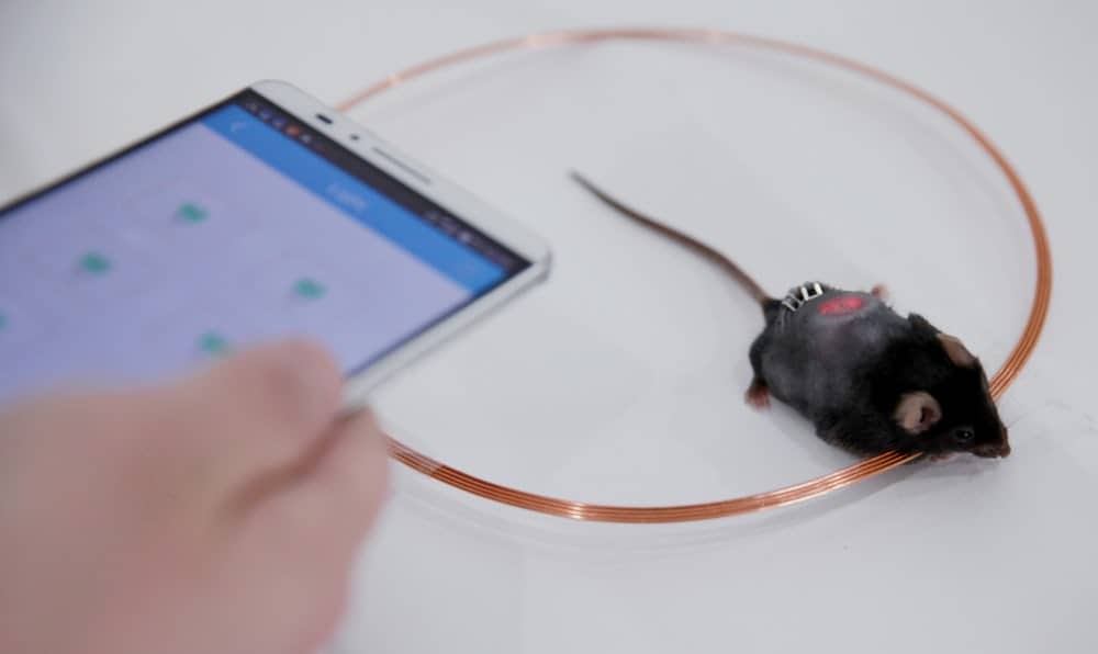 智能手机糖尿病治疗(3)