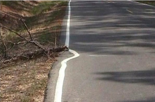 聪明地工作不难搞笑2