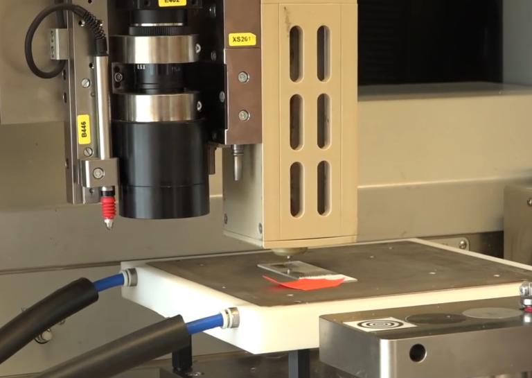 3 d印制小鼠卵巢(3)