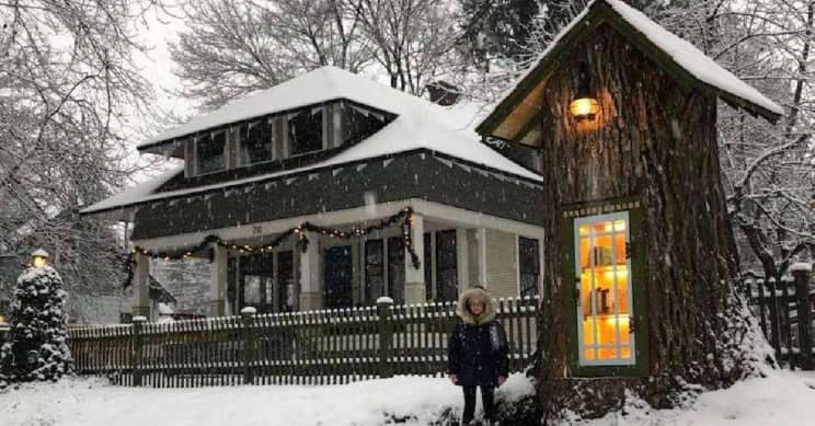 一棵110岁的树被改造成一个免费的小图书馆!