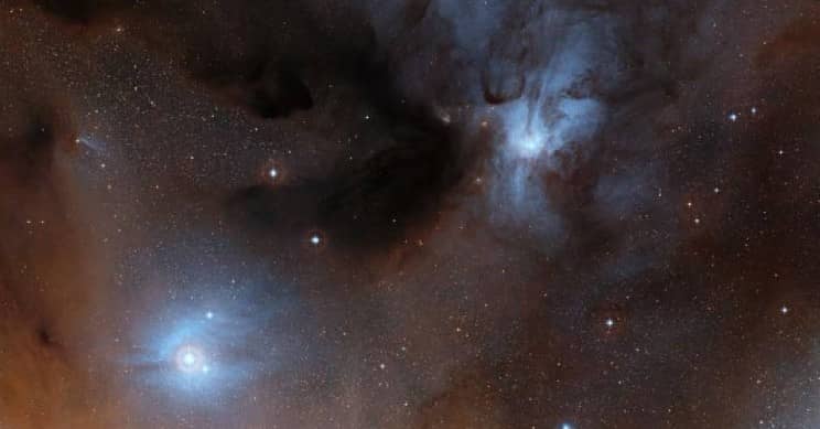 根据新的研究,我们所有的明星材料!