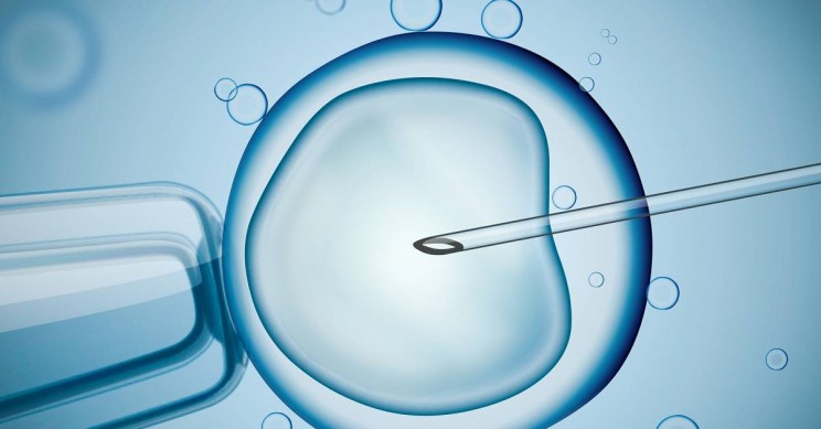 一个婴儿天生在希腊使用线粒体捐赠技术！