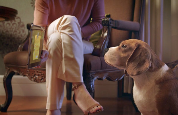 宠物商务使用人工智能让狗购物玩具