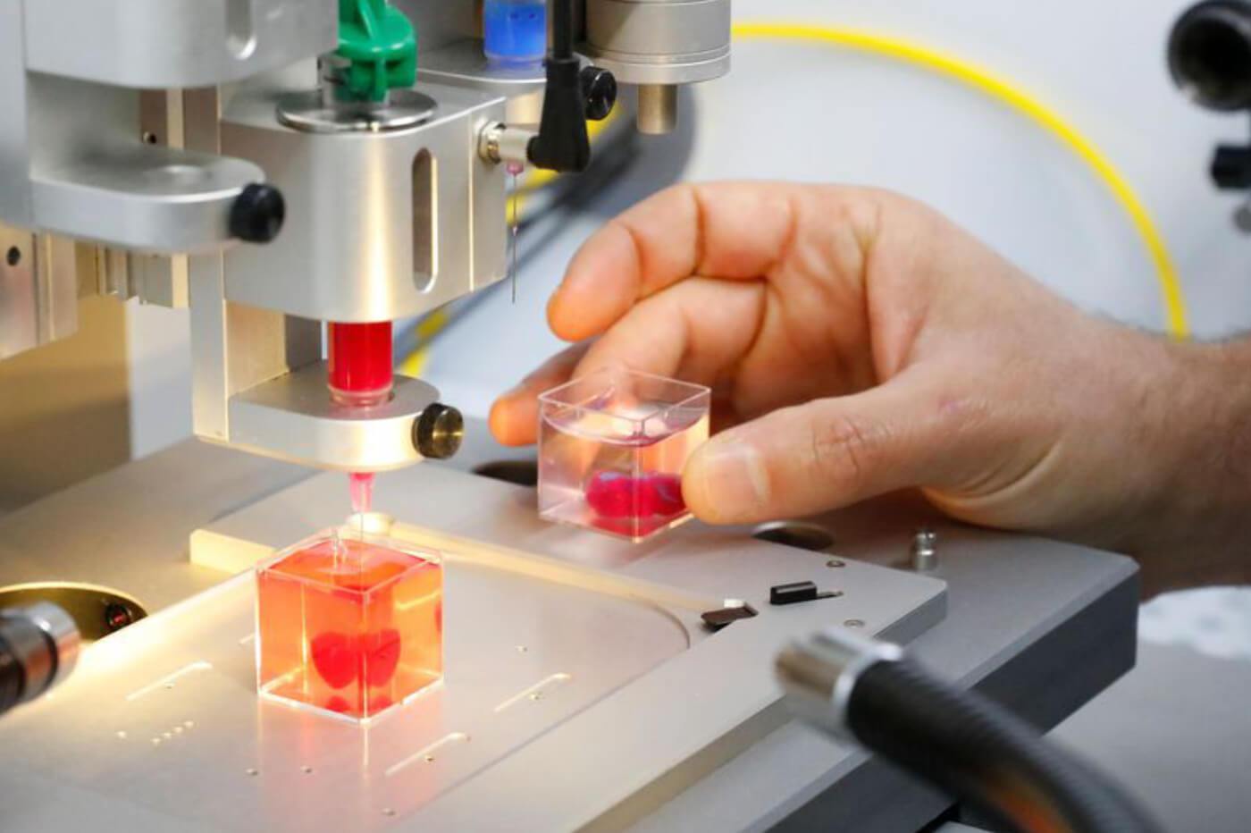 干细胞用于生长和3D打印功能心脏