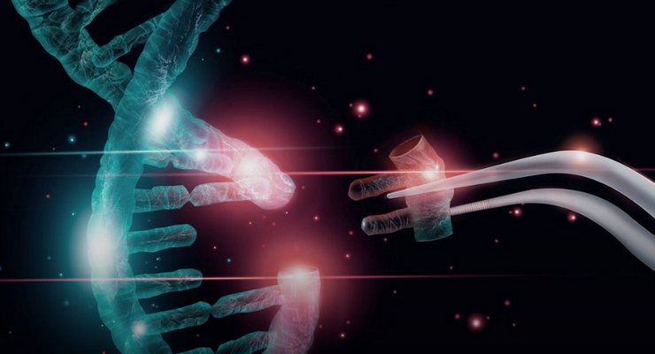 新研究将CRISPR转变为基因上的瑞士军刀