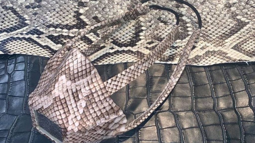 美国所有的鳄鱼都在销售带有爬行动物皮肤的口罩