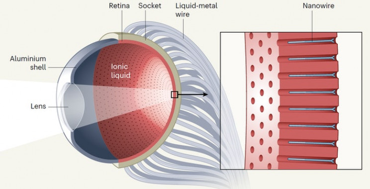 电化学的眼睛比人眼更好