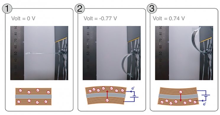 这种碳纤维部件可以改变形状，而不需要强大的动力