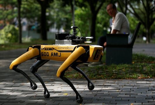 波士顿动力公司正在新加坡实施社交距离