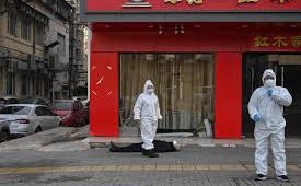 世卫组织称中国推迟发布COVID-19关键数据