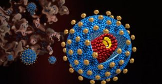 一名巴西男子可能成为首个只用药物治愈艾滋病的人