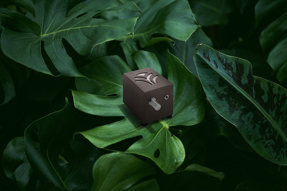 多亏了planwave，用植物制作音乐成为可能