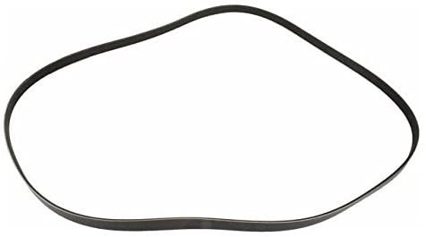 本田思域的10个最佳蛇形腰带