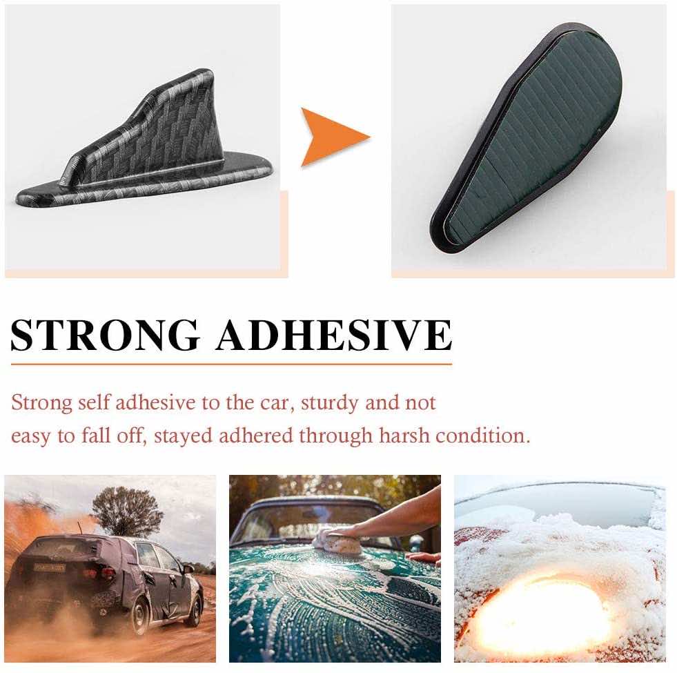 本田思域十佳剧透