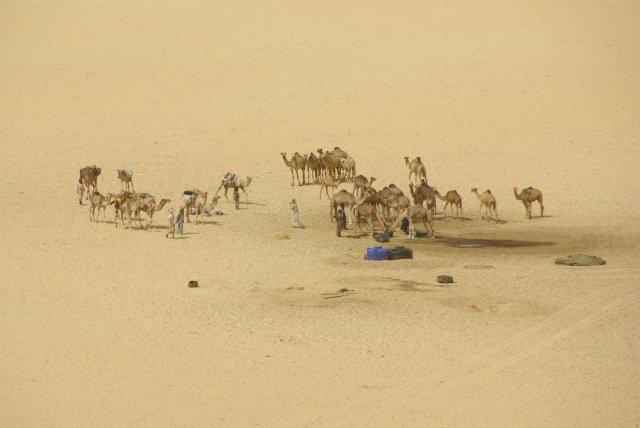 18年后，遇难者家属聚集在坠机地点，建立了一座纪念碑。